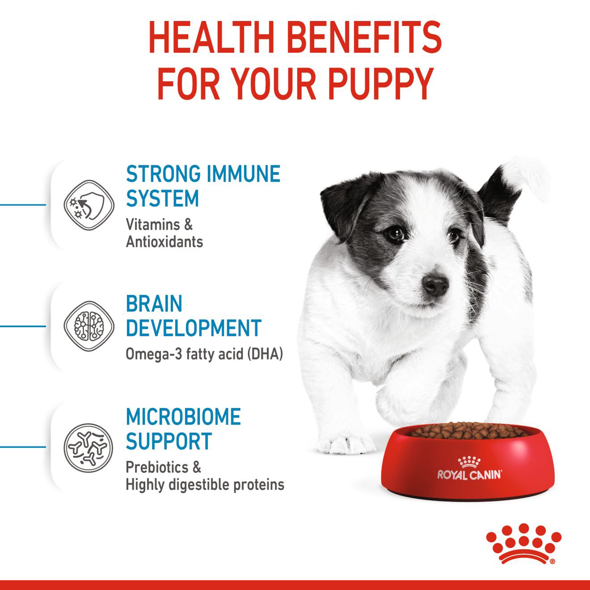 Royal Canin Mini Puppy Dry Dog Food - Heads Up For Tails