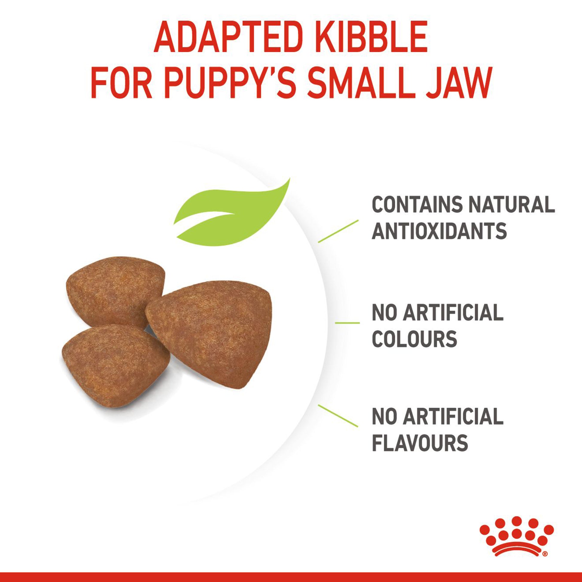 Royal Canin Mini Puppy Dry Dog Food - Heads Up For Tails
