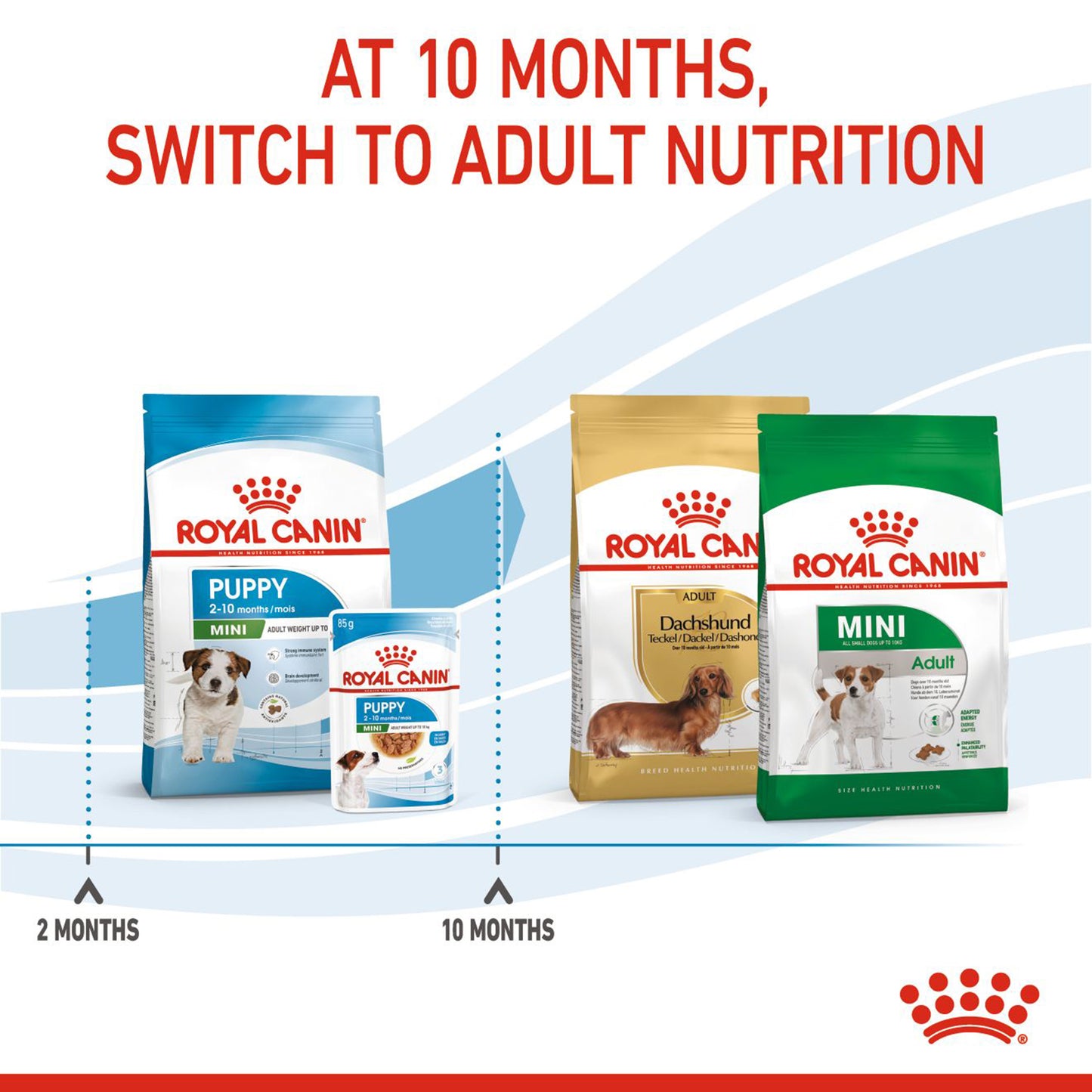 Royal Canin Mini Puppy Dry Dog Food - Heads Up For Tails