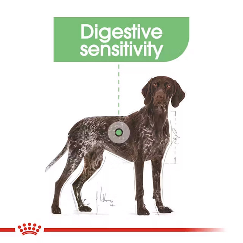 Royal Canin Maxi Digestive Care Dry Food For Dog - 3 kg - Heads Up For Tails