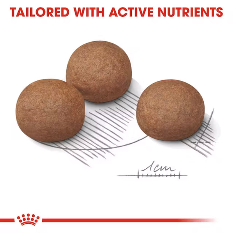 Royal Canin Maxi Digestive Care Dry Food For Dog - 3 kg - Heads Up For Tails