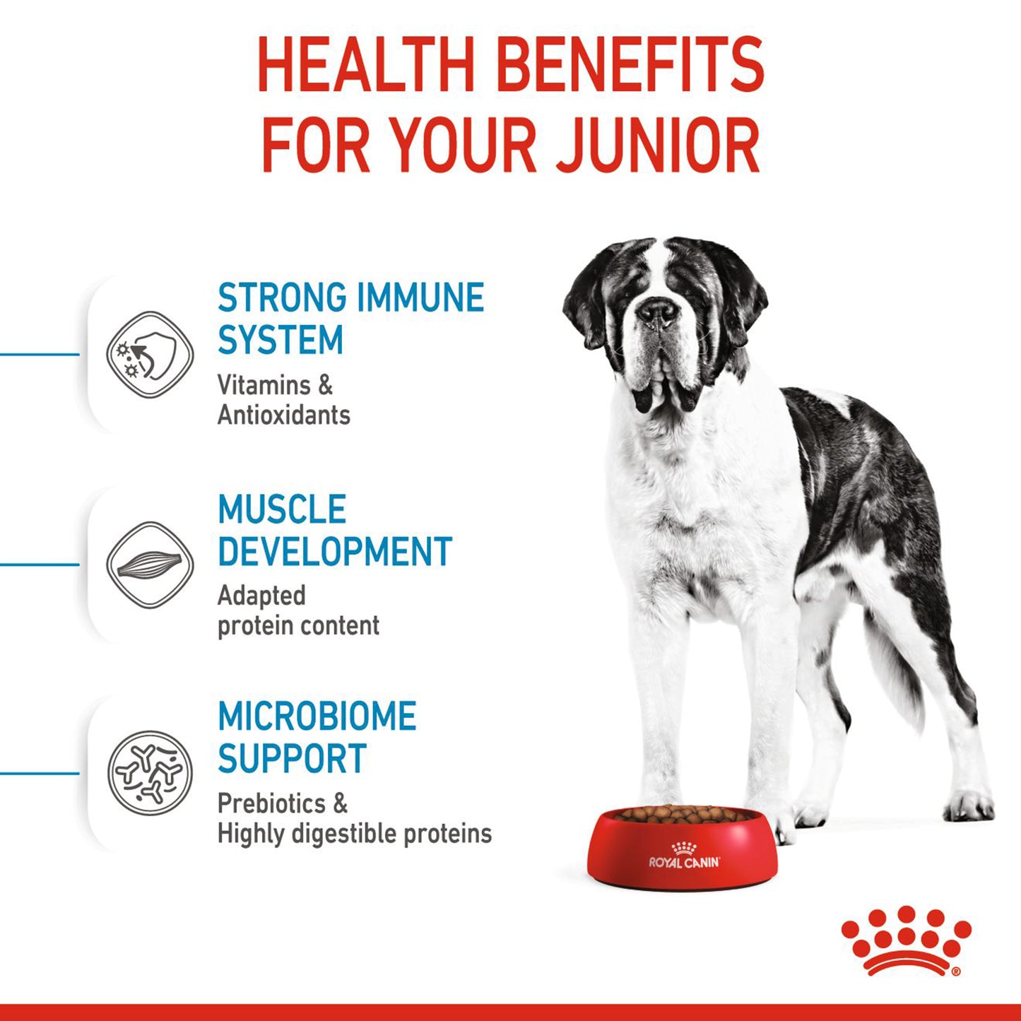 Royal Canin Giant Junior Dry Dog Food - Heads Up For Tails