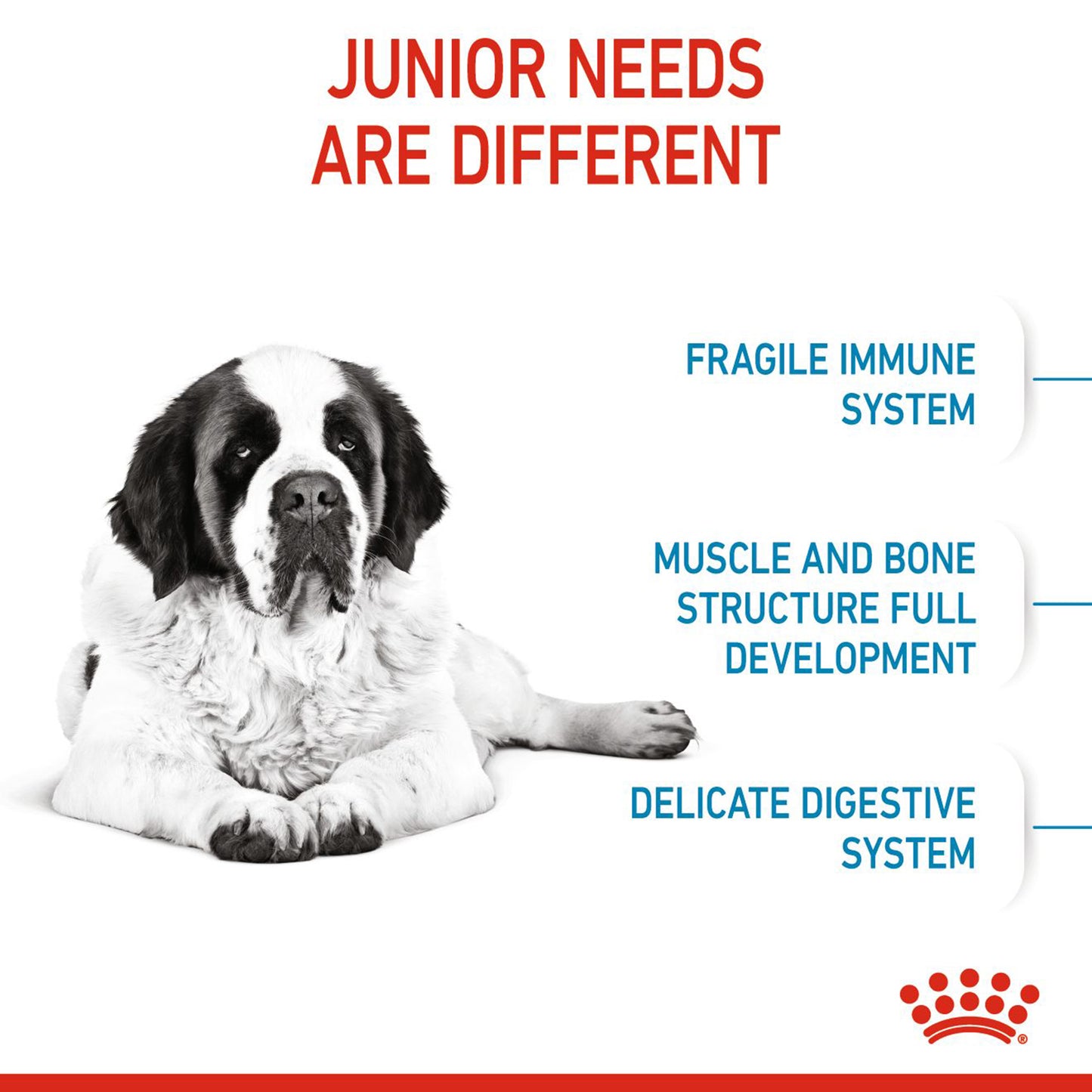 Royal Canin Giant Junior Dry Dog Food - Heads Up For Tails