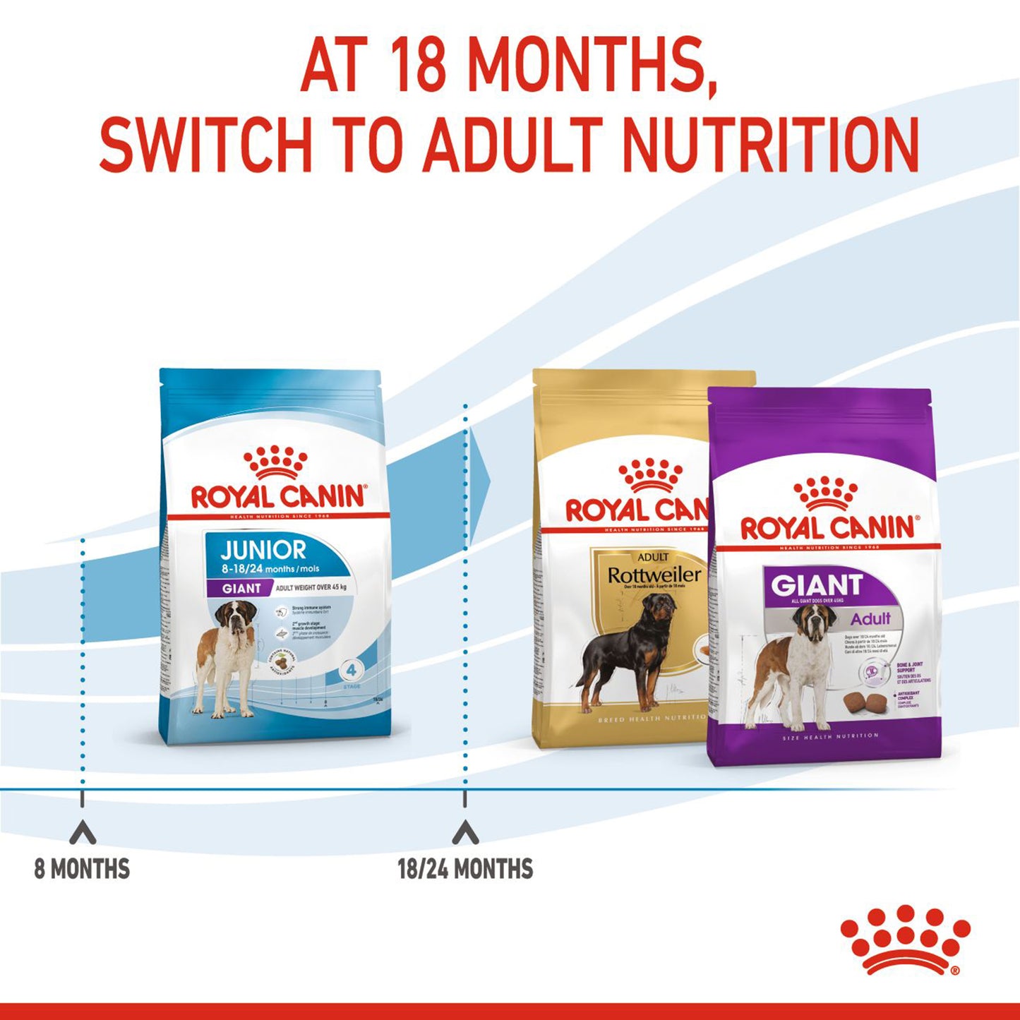 Royal Canin Giant Junior Dry Dog Food - Heads Up For Tails