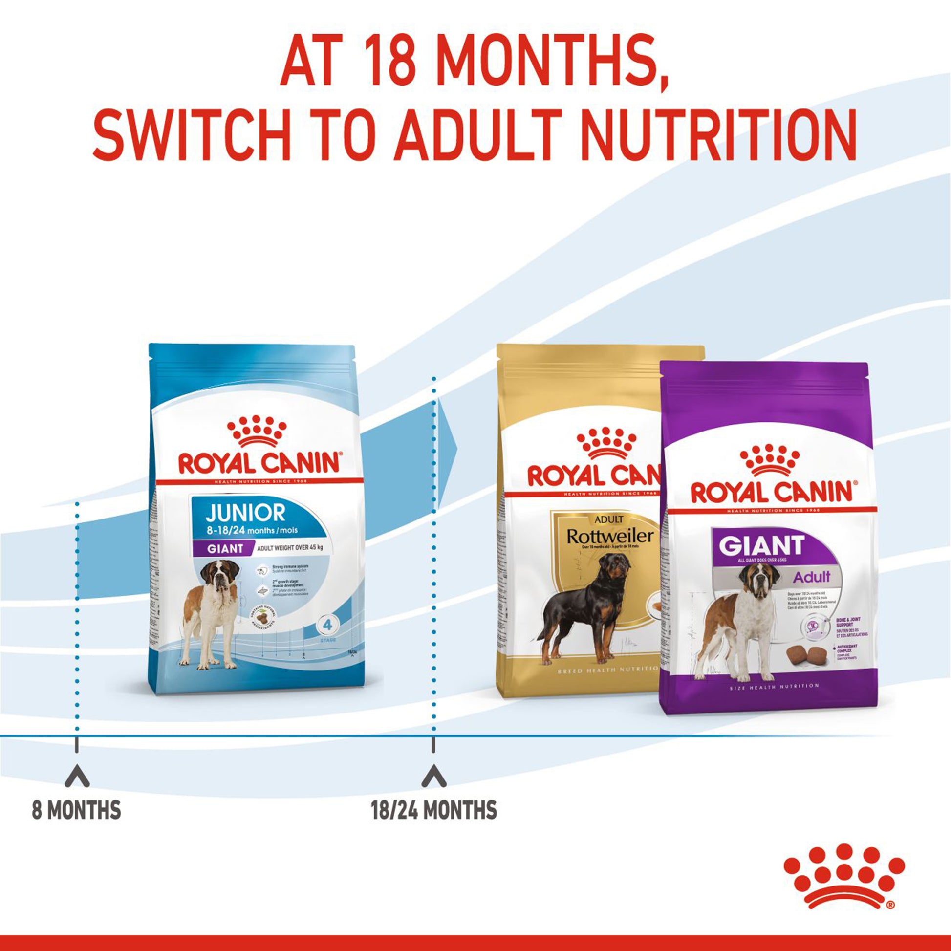 Royal Canin Giant Junior Dry Dog Food - Heads Up For Tails