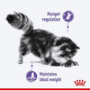 Royal Canin Care Appetite Control Dry Food For Cat - 400 gm - Heads Up For Tails