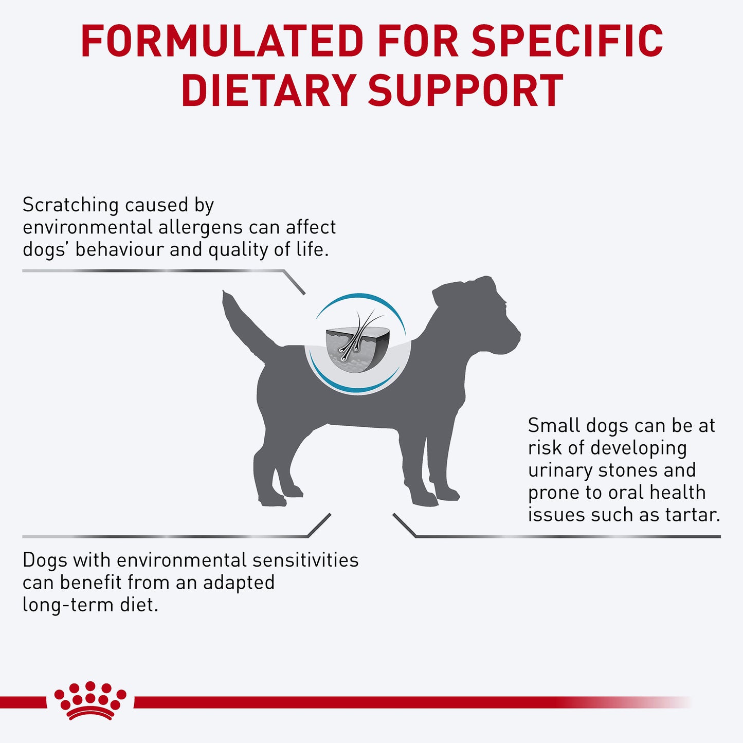 Royal Canin Veterinary Skintopic Dry Food For Small Dog - 4 kg - Heads Up For Tails