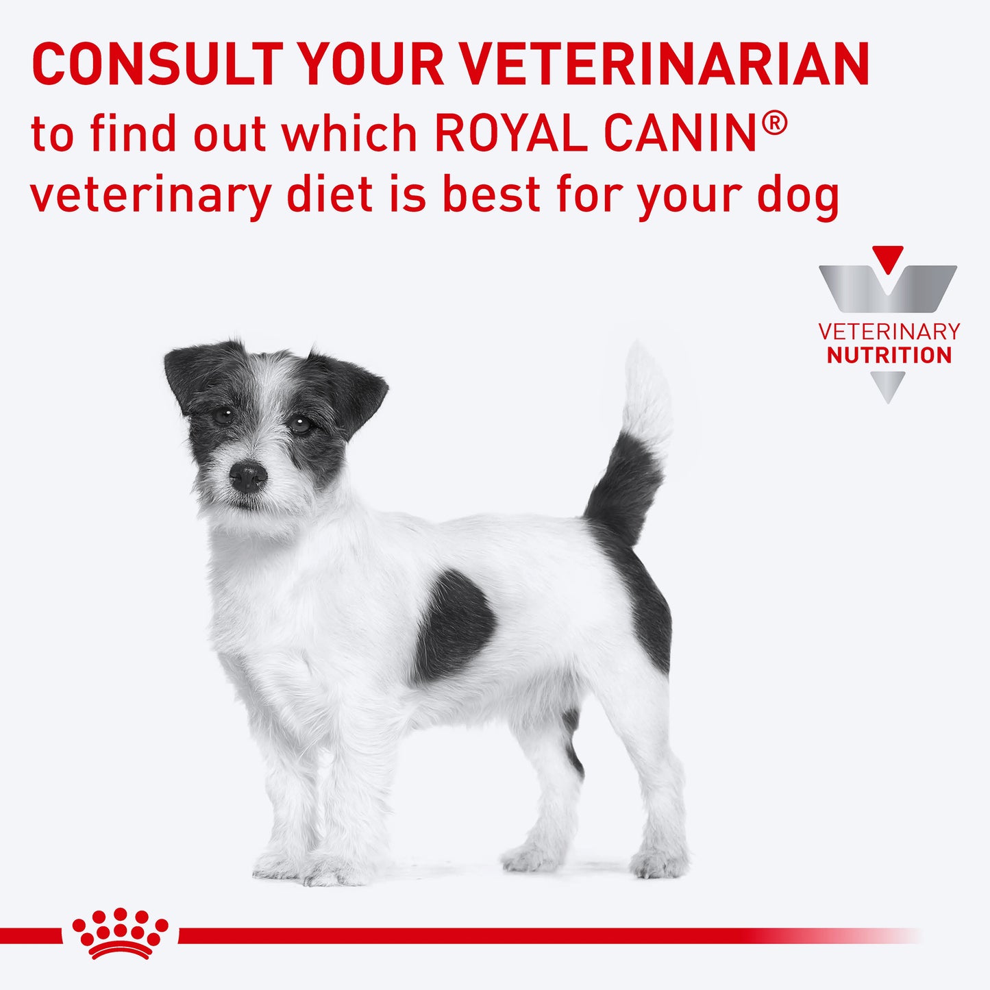 Royal Canin Veterinary Skintopic Dry Food For Small Dog - 4 kg - Heads Up For Tails