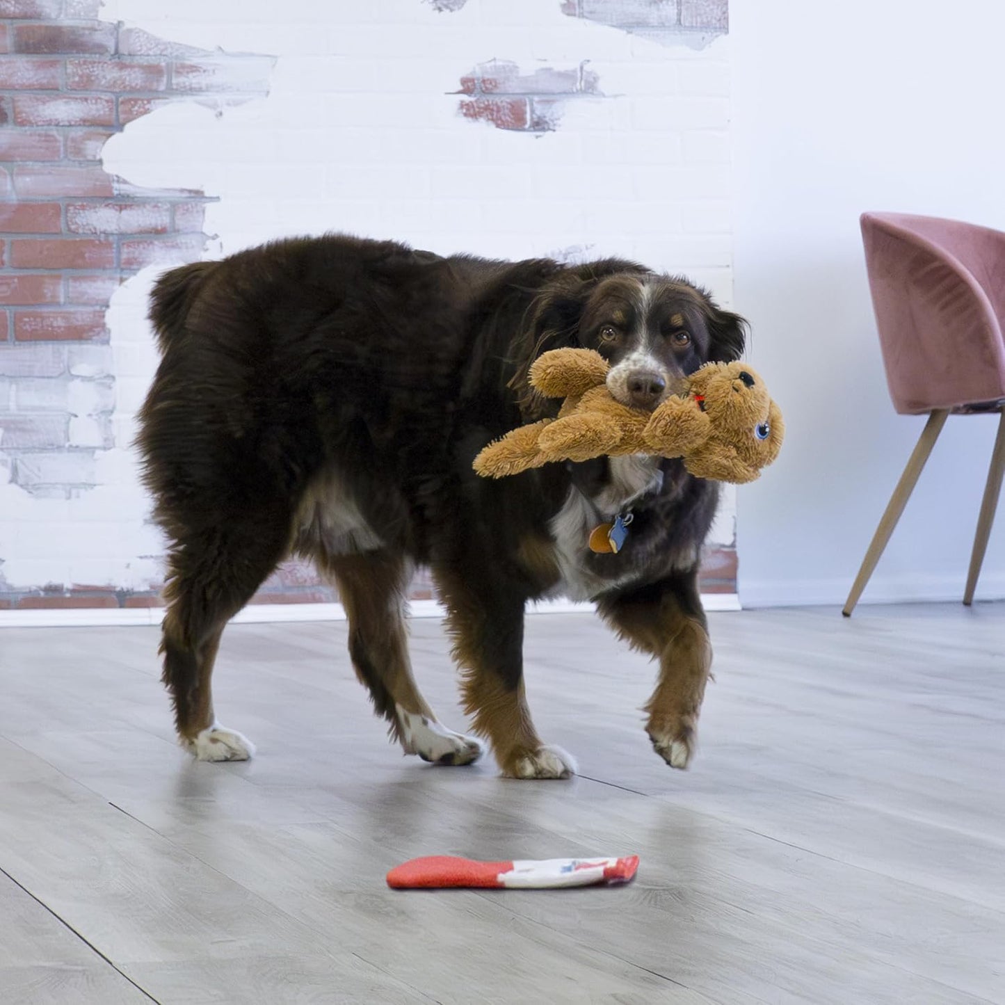 KONG Comfort Pups Goldie Plush Toy For Dog - Brown - M - Heads Up For Tails