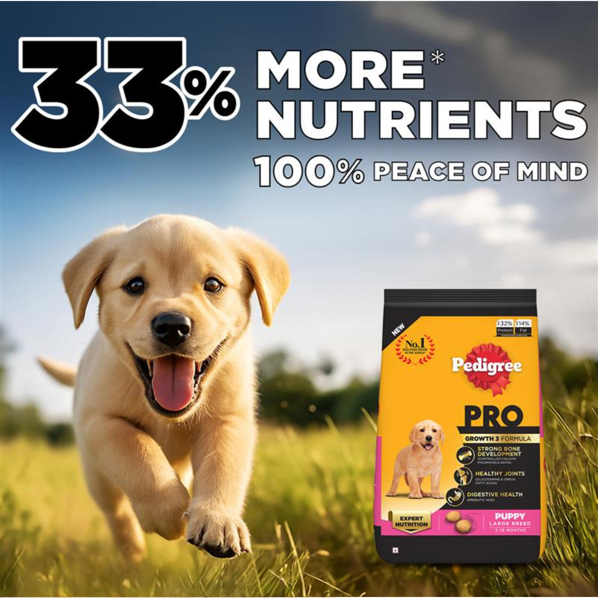 Pedigree PRO Expert Nutrition Dry Dog Food For Large Breed Puppy (3-18 Months) - Heads Up For Tails