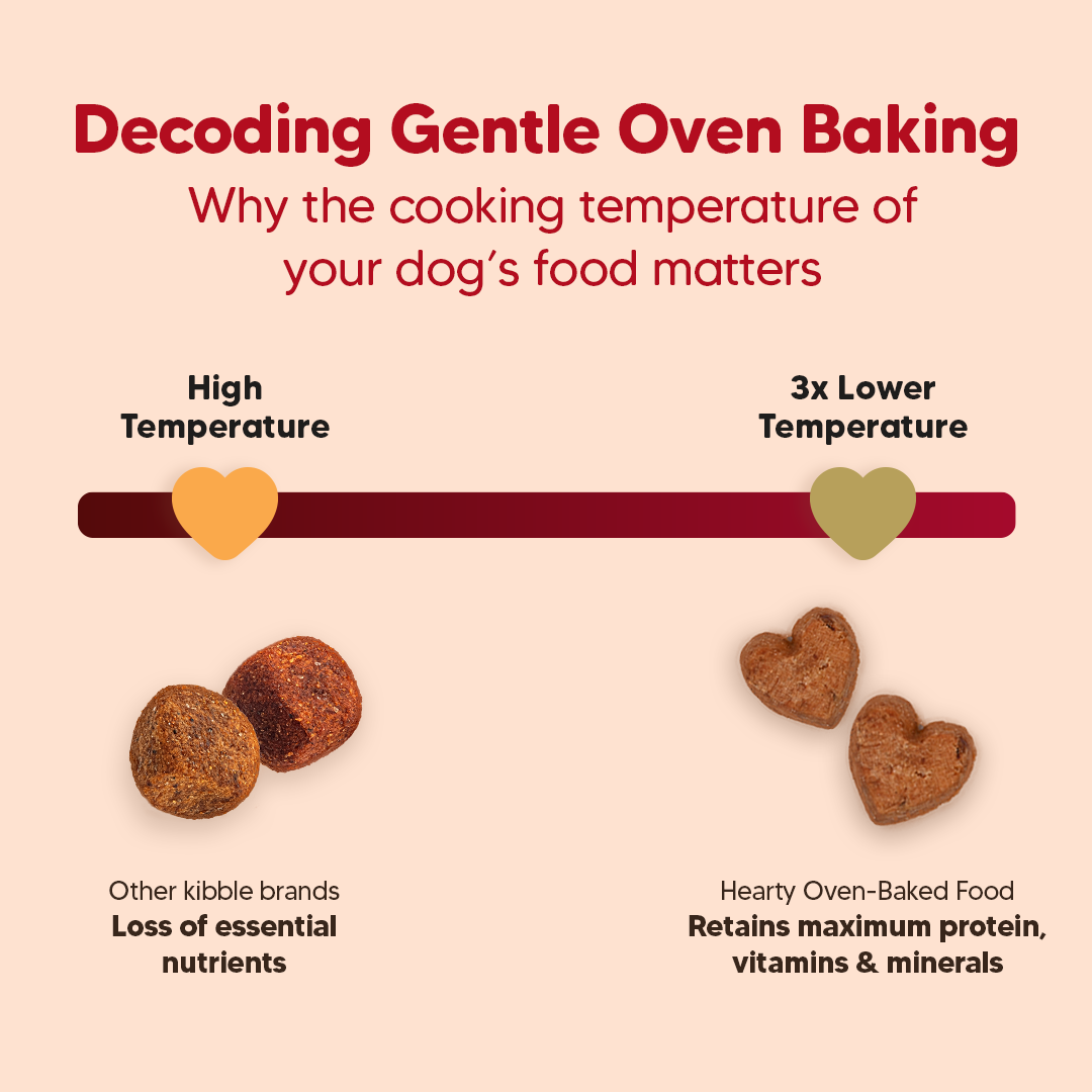 Hearty Oven-Baked Dry Food For Adult Dogs With Chicken, Duck & Brown Rice (All Breeds) - Heads Up For Tails