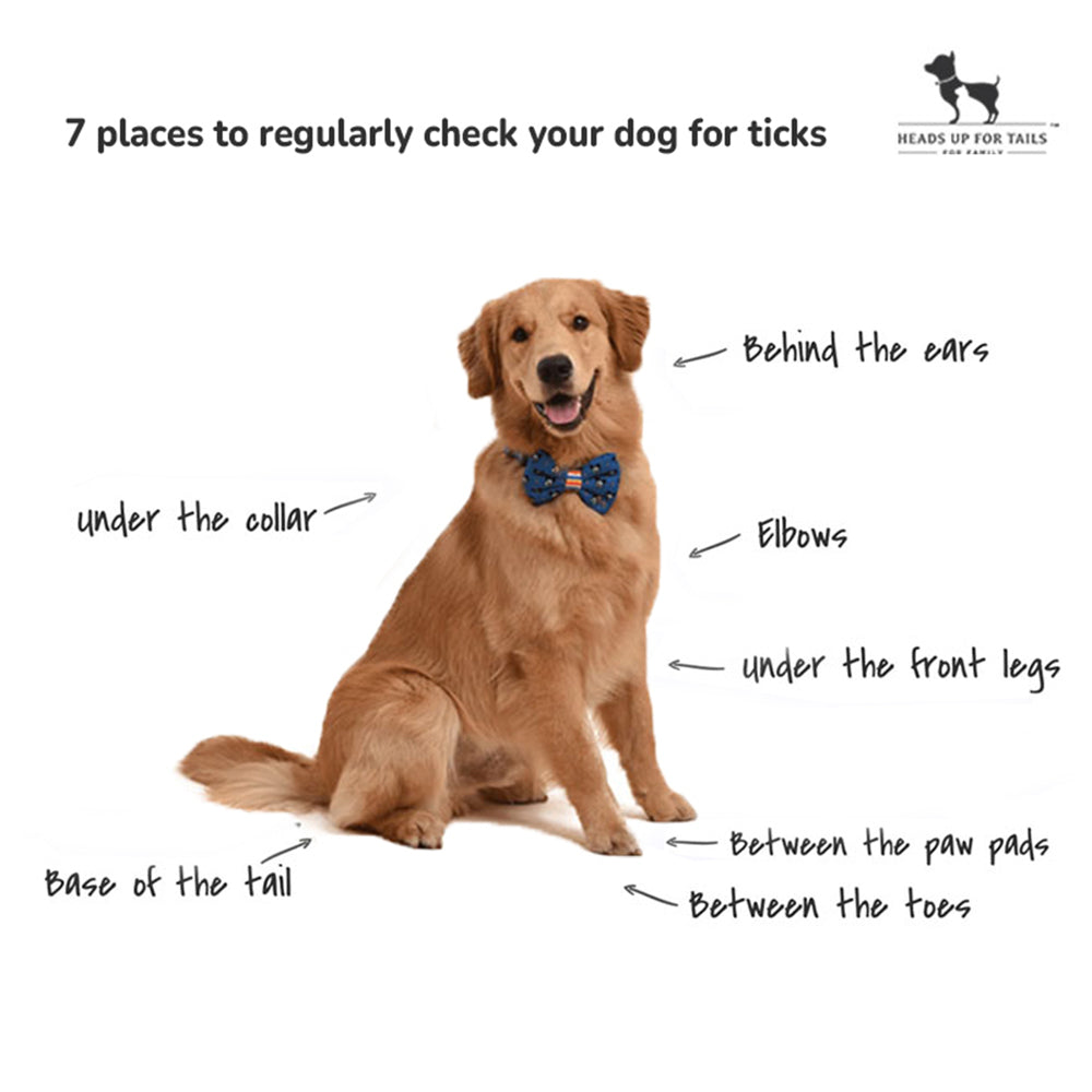 HUFT Complete Tick & Flea Guard Pack - Heads Up For Tails