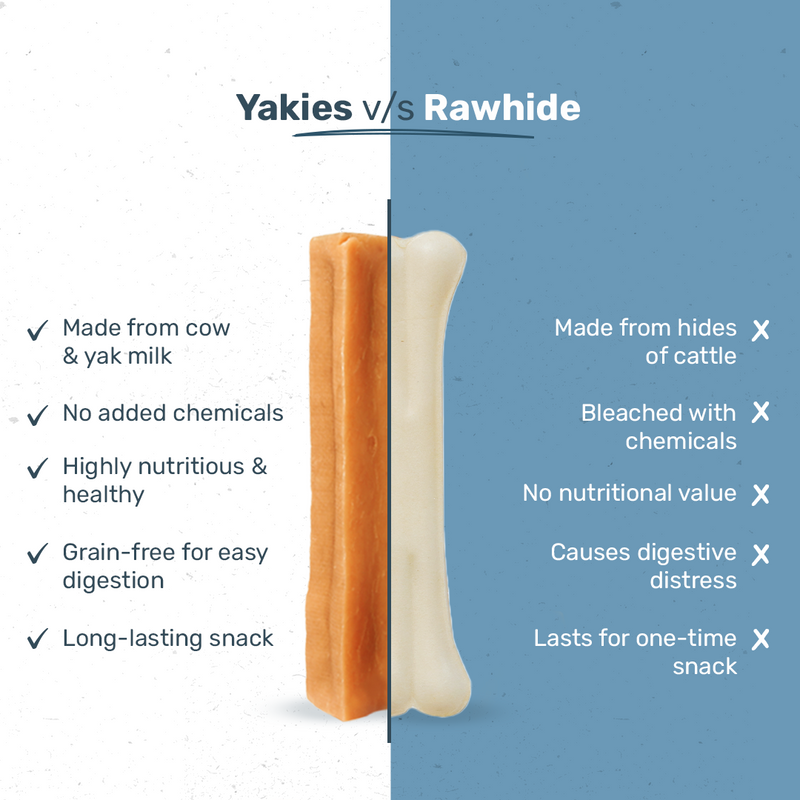 HUFT Yakies Vegetarian Natural Chew Bone - Turmeric - Heads Up For Tails