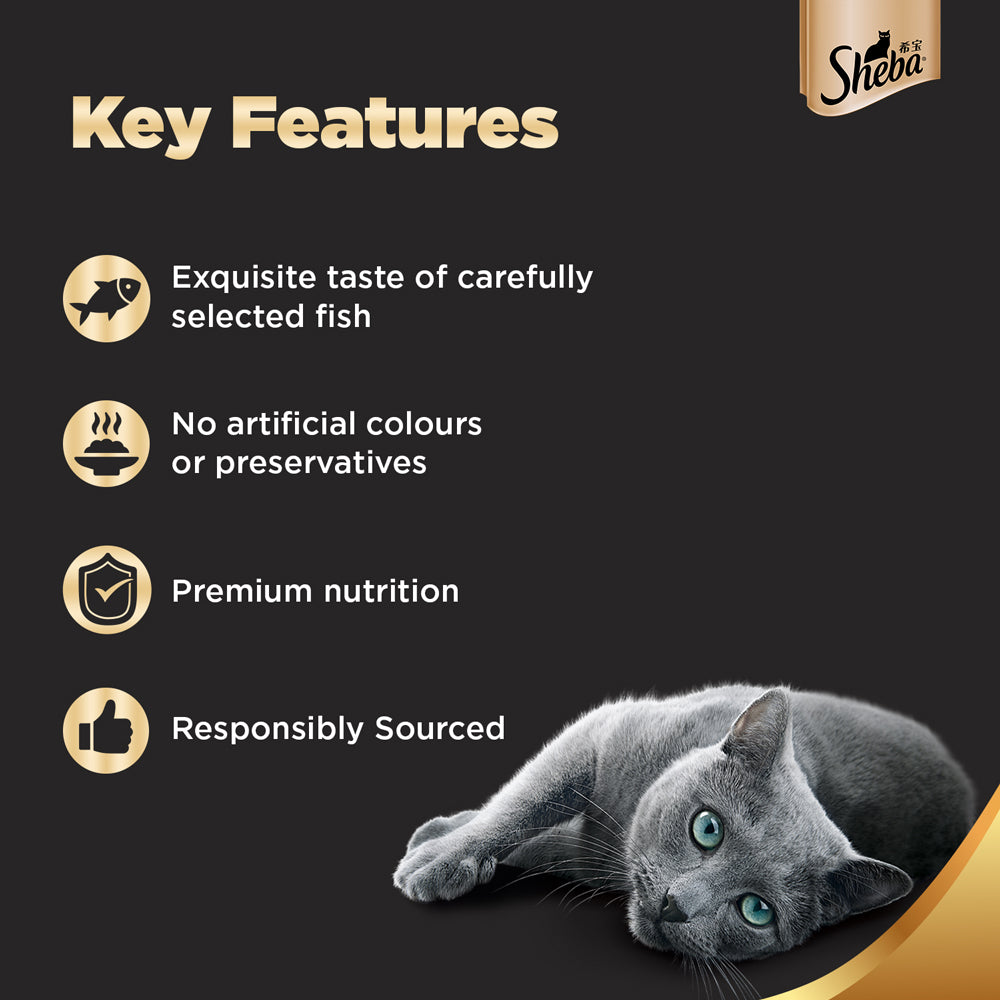 Sheba Fish with Sasami Adult Wet Cat Food - 35 gm Packs - Heads Up For Tails