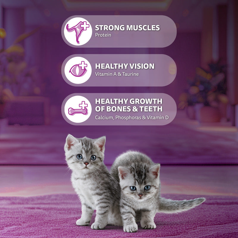 Whiskas Ocean Fish Dry Food For Kitten (2-12 Months) - Heads Up For Tails