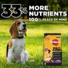 Pedigree PRO Expert Nutrition Adult Small Breed Dogs (9 Months Onwards) Dry Dog Food - Heads Up For Tails