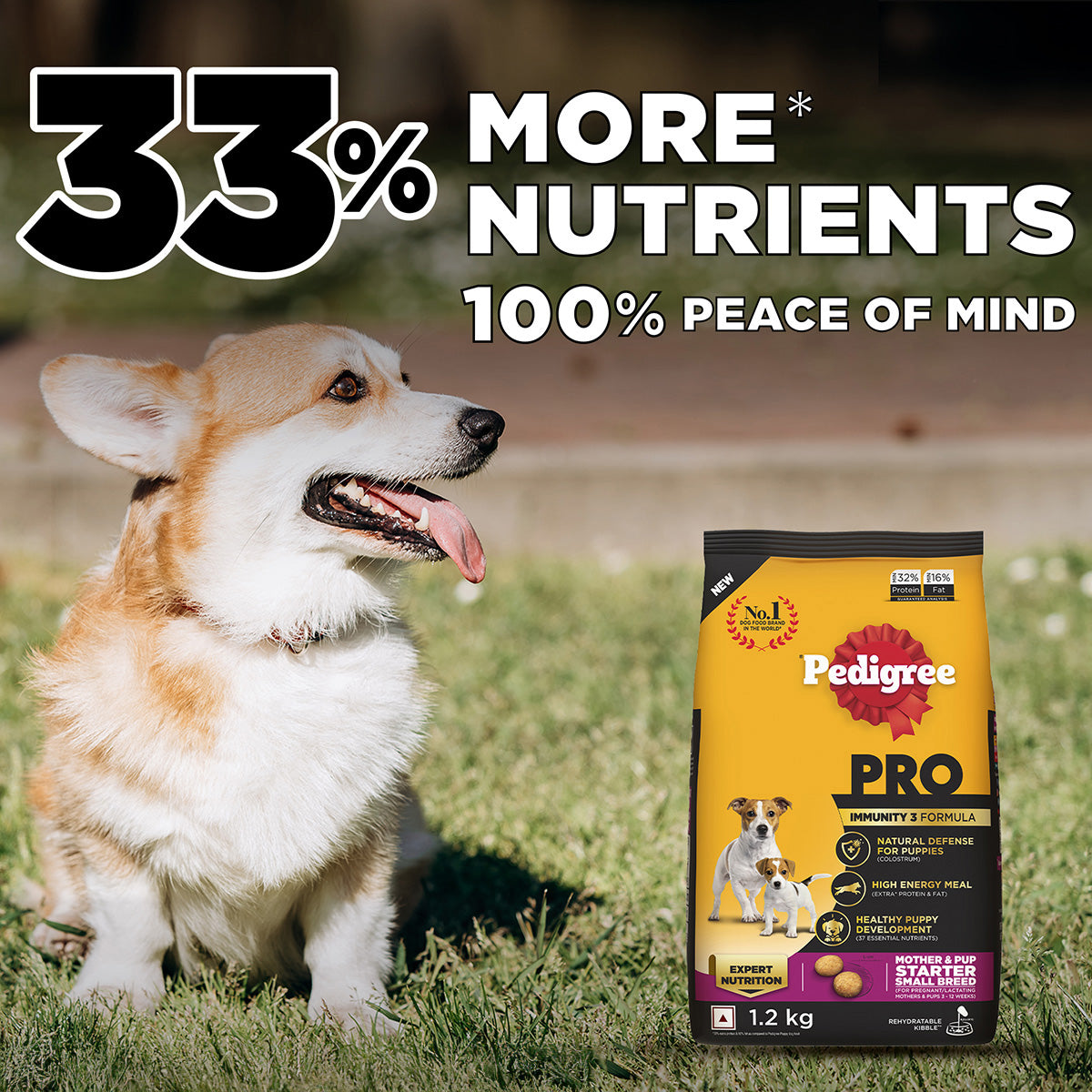 Pedigree PRO Expert Nutrition Lactating/Pregnant Mother & Puppy Starter (3-12 Weeks) Small Breed Dog Dry Food - Heads Up For Tails