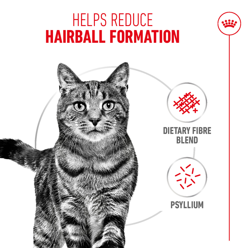 Royal Canin Hairball Care Dry Cat Food - Heads Up For Tails