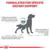 Royal Canin Veterinary Diet Hypoallergenic Dry Food For Dog - Heads Up For Tails