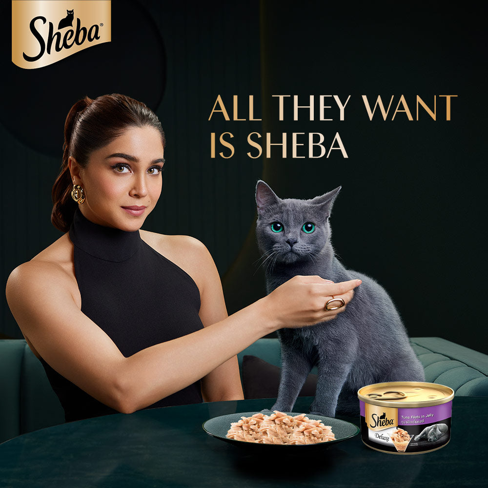 Sheba Tuna White Meat in Jelly Adult Wet Cat Food - 85 g - Pack Of 1 - Heads Up For Tails