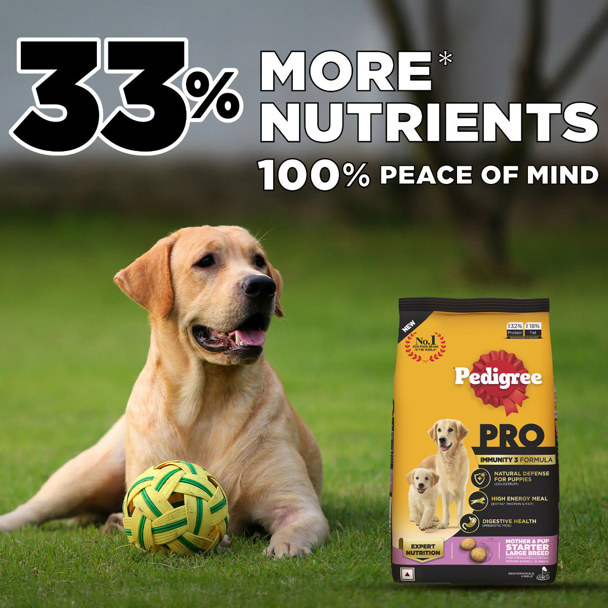 Pedigree PRO Expert Nutrition Lactating/Pregnant Mother & Puppy Starter (3-12 Weeks) Large Breed Dog Dry Food - Heads Up For Tails