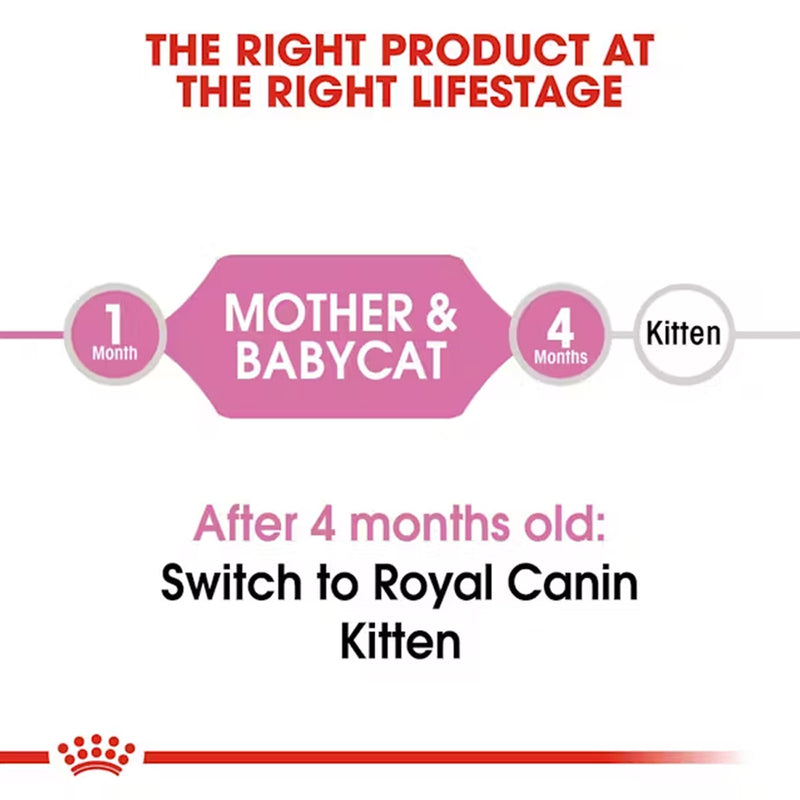 Royal Canin Mother And Babycat Dry Cat Food - Heads Up For Tails