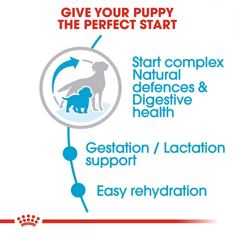 Royal Canin Medium Starter Dry Dog Food - Heads Up For Tails