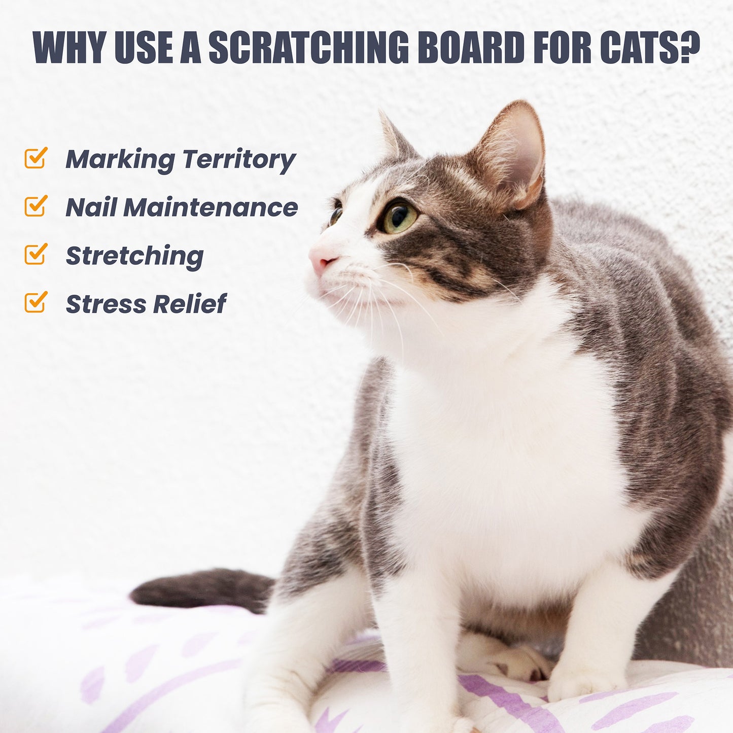 Trixie Scratching Board On A Roll With Catnip Cat Scratcher - Black - Heads Up For Tails