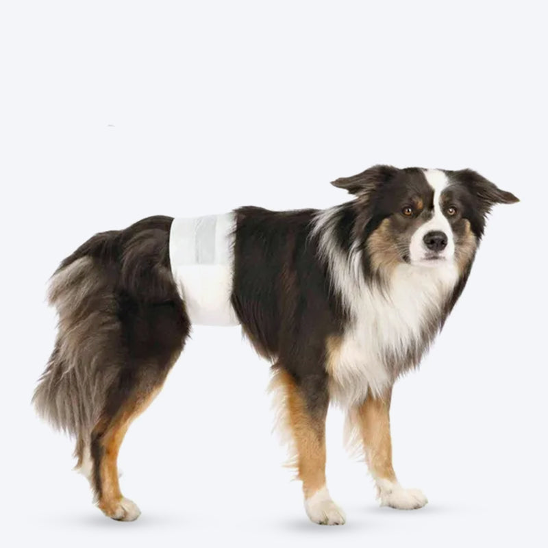 Trixie Disposable Diapers For Male Dog - 12 pcs ( L/XL ) - 60-80 cm - Heads Up For Tails