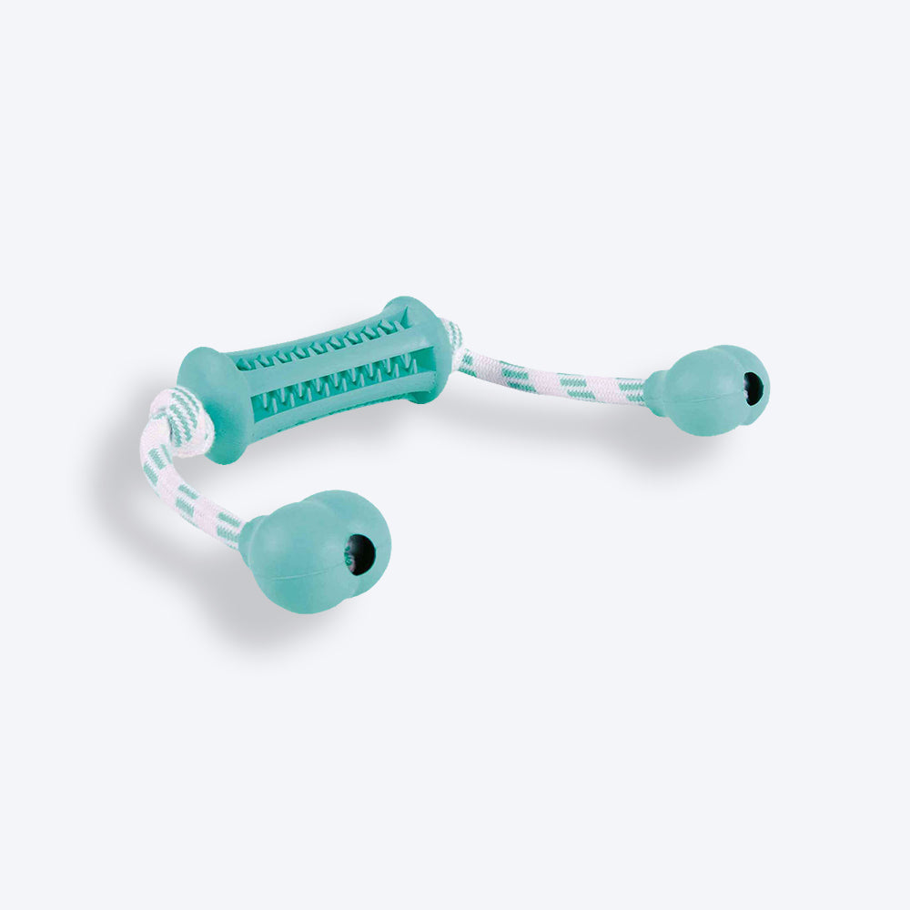 Trixie Denta Fun Stick With Rope Chew Dog Toy - Mint Green_01