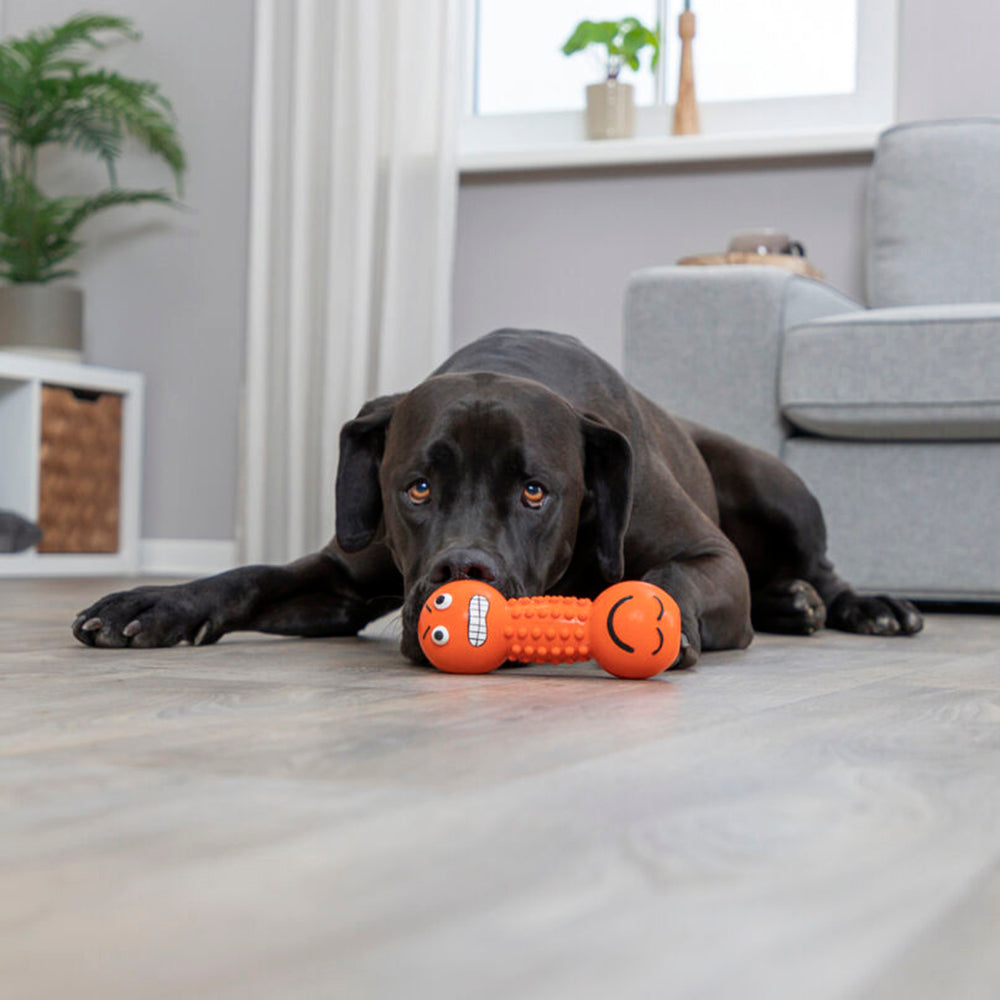 Trixie Smiley Dumbbell Motifs With Sound Latex Chew Dog Toy - 19 cm_07