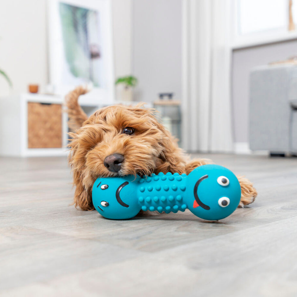 Trixie Smiley Dumbbell Motifs With Sound Latex Chew Dog Toy - 19 cm_08