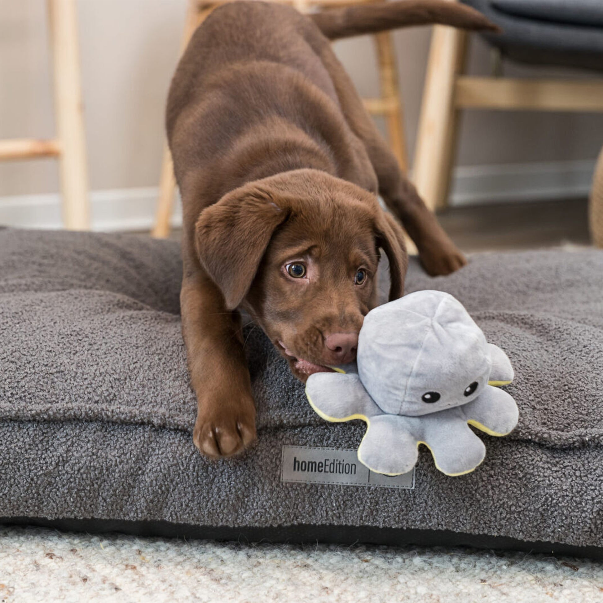 Trixie Reversible Octopus With Sound Plush Dog Toy - Assorted - 19 cm_09