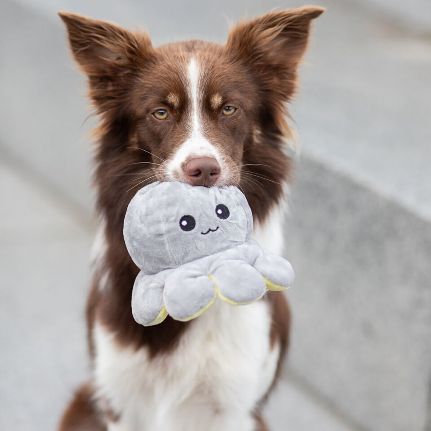 Trixie Reversible Octopus With Sound Plush Dog Toy - Assorted - 19 cm_04