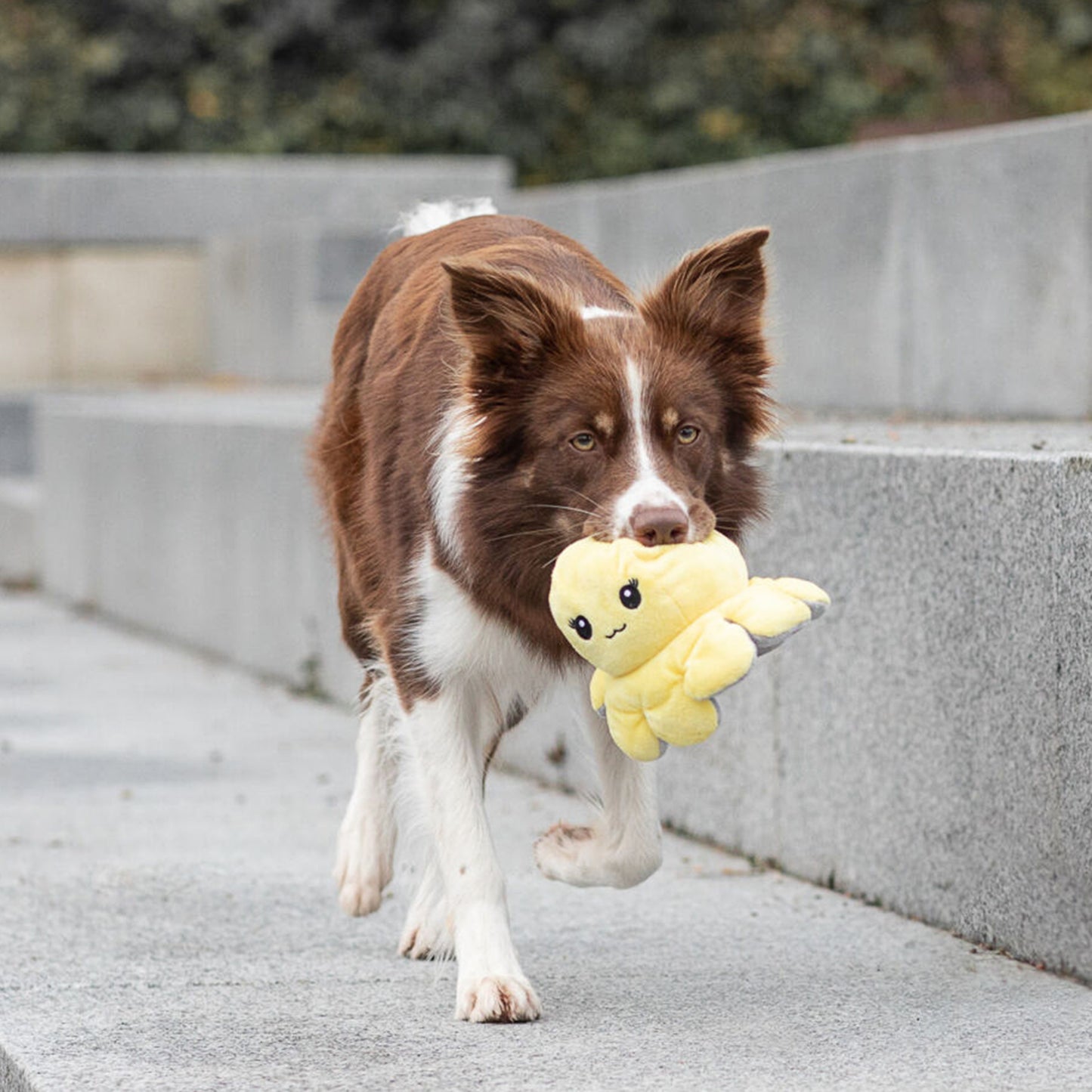 Trixie Reversible Octopus With Sound Plush Dog Toy - Assorted - 19 cm_07