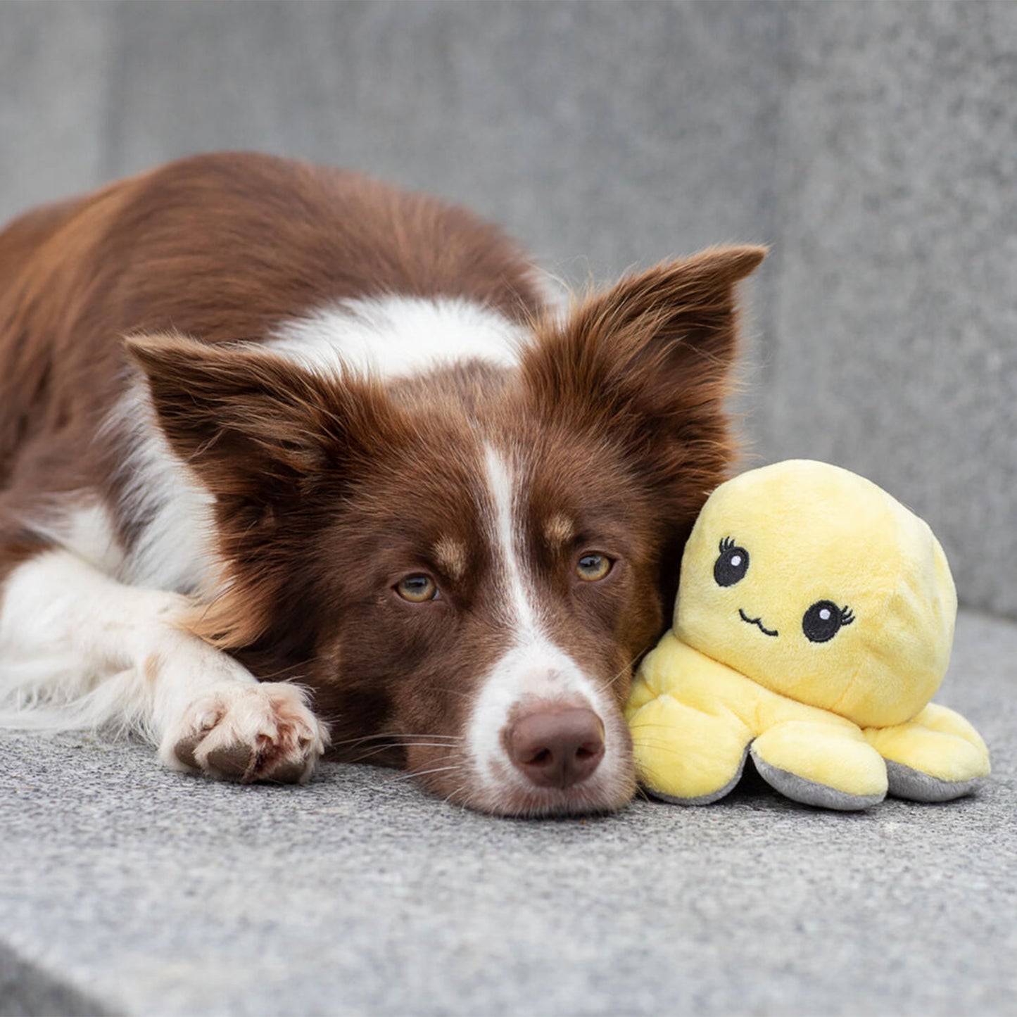 Trixie Reversible Octopus With Sound Plush Dog Toy - Assorted - 19 cm_03