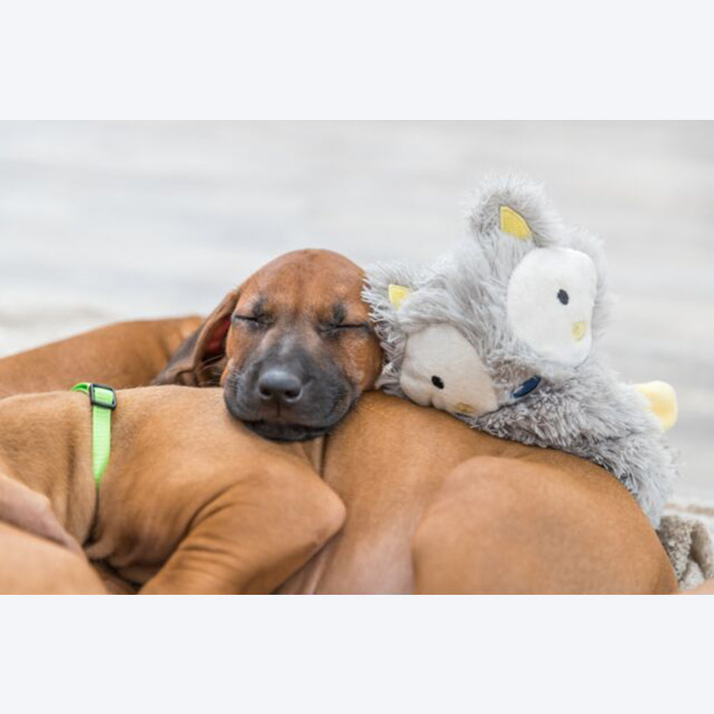 Trixie Junior Dangling With Rustling Foil Plush Dog Toy - Assorted - 33 cm_09