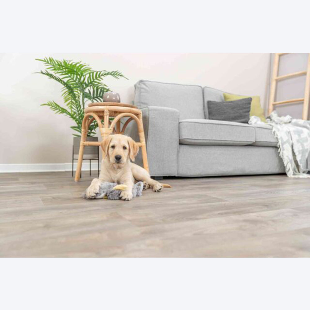 Trixie Junior Dangling With Rustling Foil Plush Dog Toy - Assorted - 33 cm_06