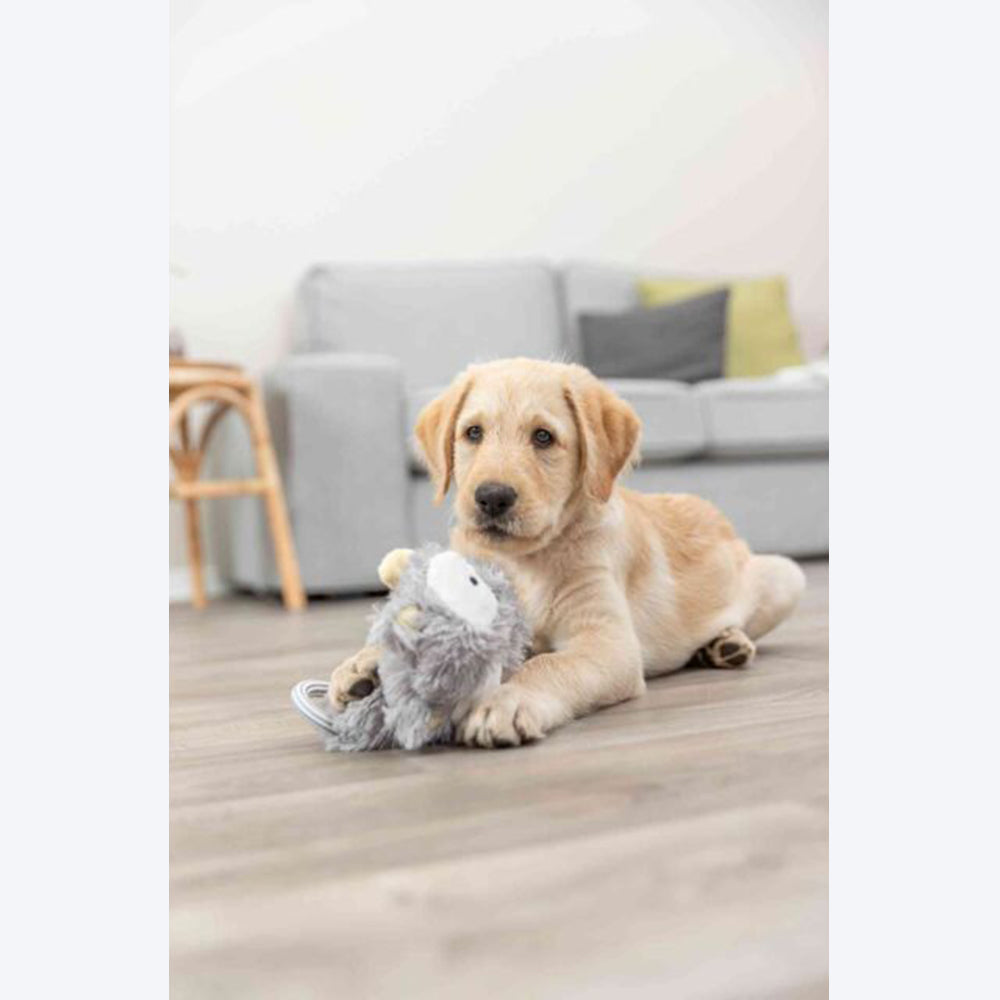 Trixie Junior Dangling With Rustling Foil Plush Dog Toy - Assorted - 33 cm_07