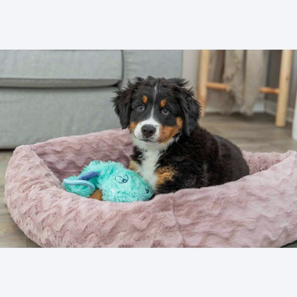 Trixie Junior Dangling With Rustling Foil Plush Dog Toy - Assorted - 33 cm_08