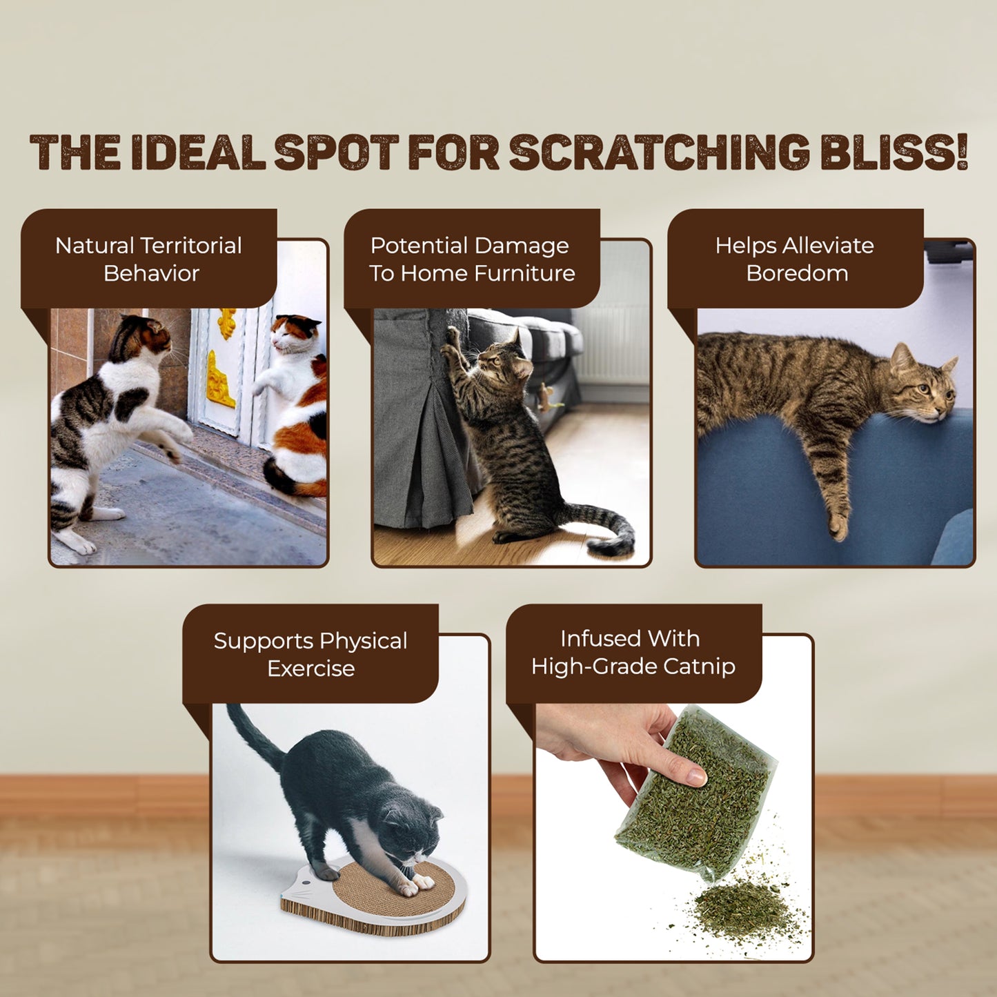Trixie Mouse Junior Scratching Cardboard With Catnip Cat Scratcher - White - Heads Up For Tails