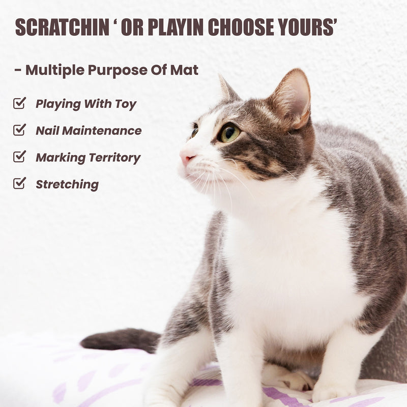 Trixie Scratching Cat Mat With Toy - Brown - Heads Up For Tails