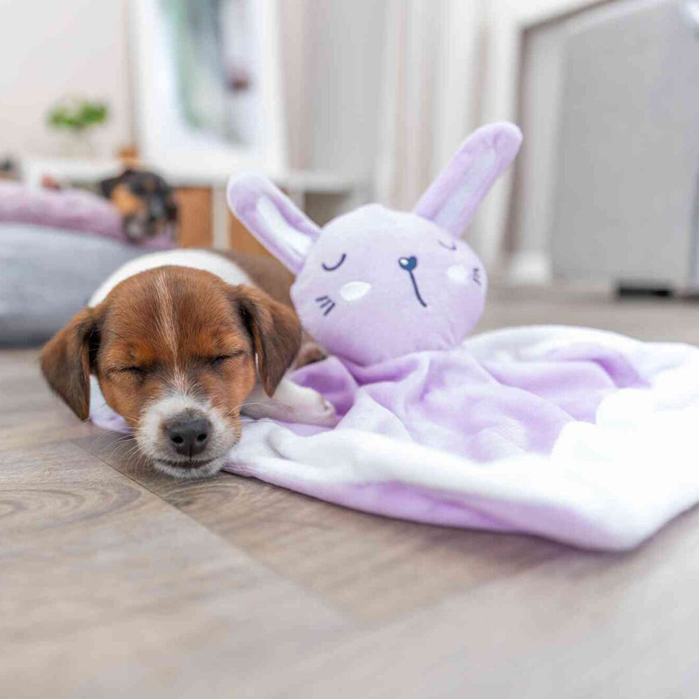 Trixie Junior Snuggler Plush Dog Toy - Assorted - Heads Up For Tails