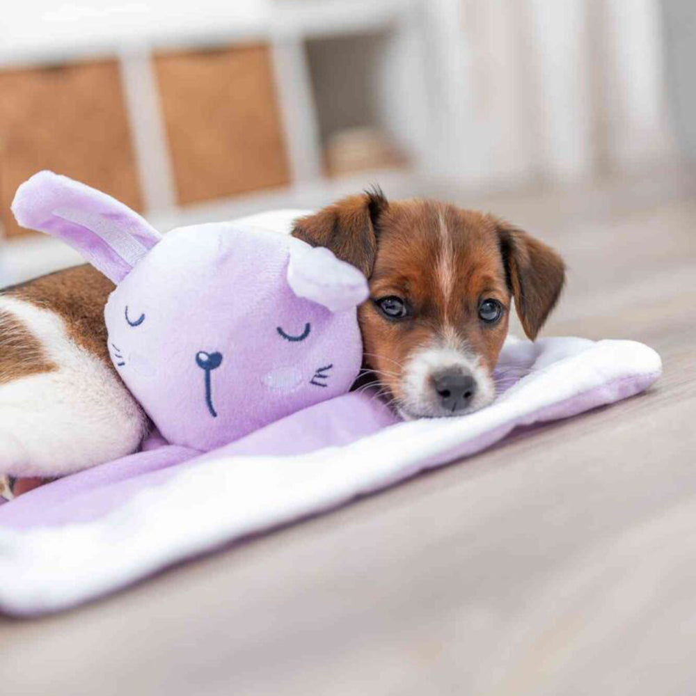 Trixie Junior Snuggler Plush Dog Toy - Assorted - Heads Up For Tails