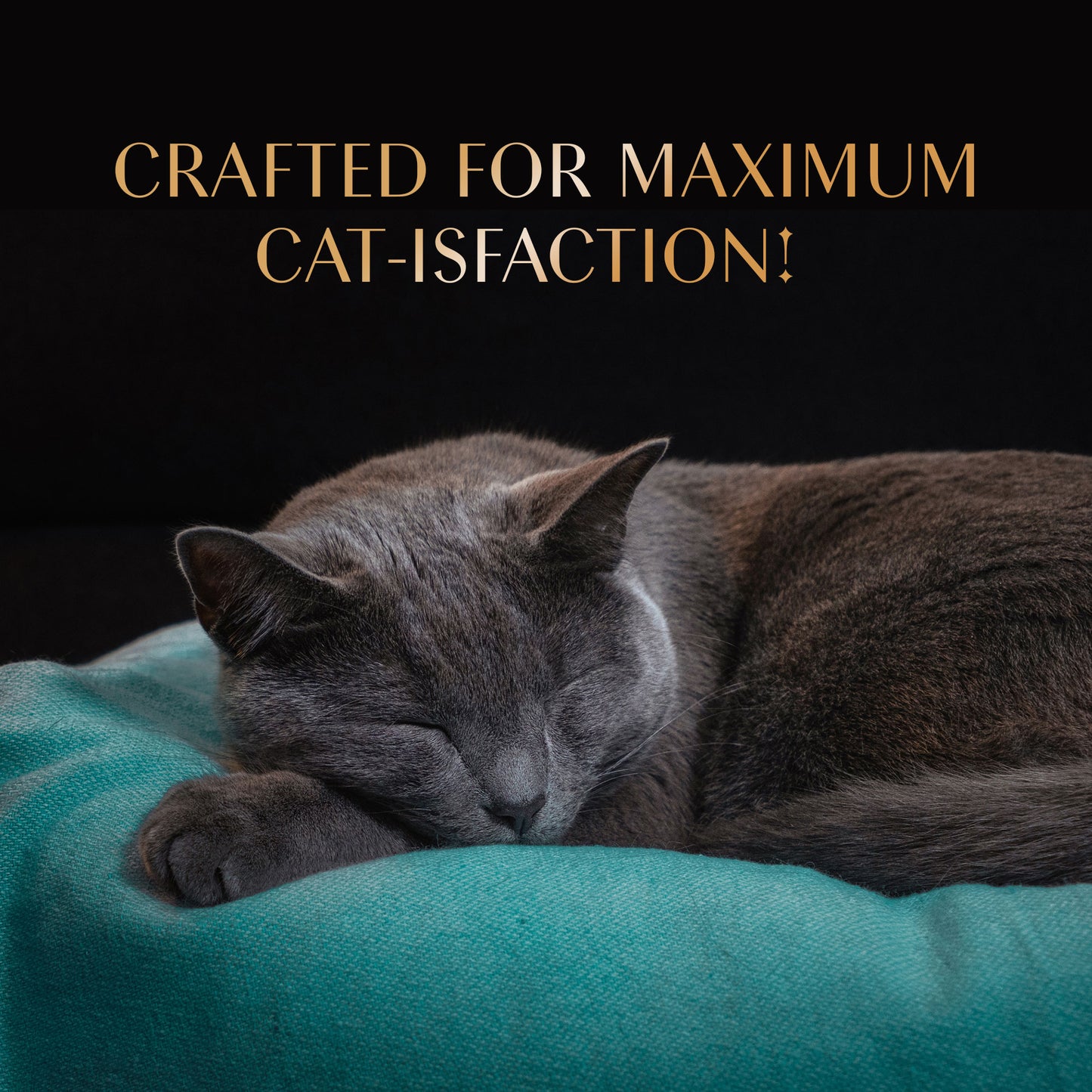 Sheba Melty Maguro Selection Tuna & Tuna & Prawn Flavors Cat Treats - 240 gm (20 x 12gm) - Heads Up For Tails