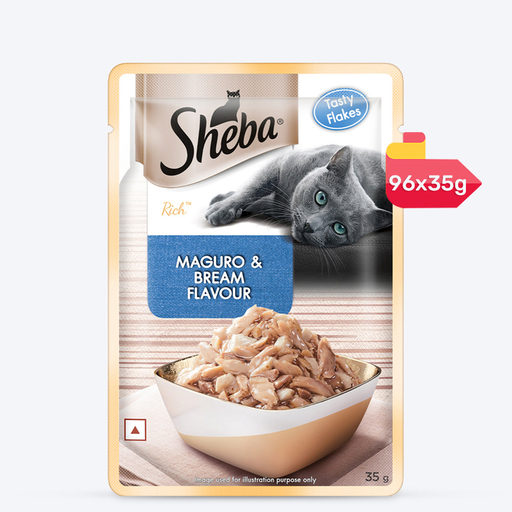 Sheba Maguro & Bream Wet Cat Food - 35 gm Packs - Heads Up For Tails