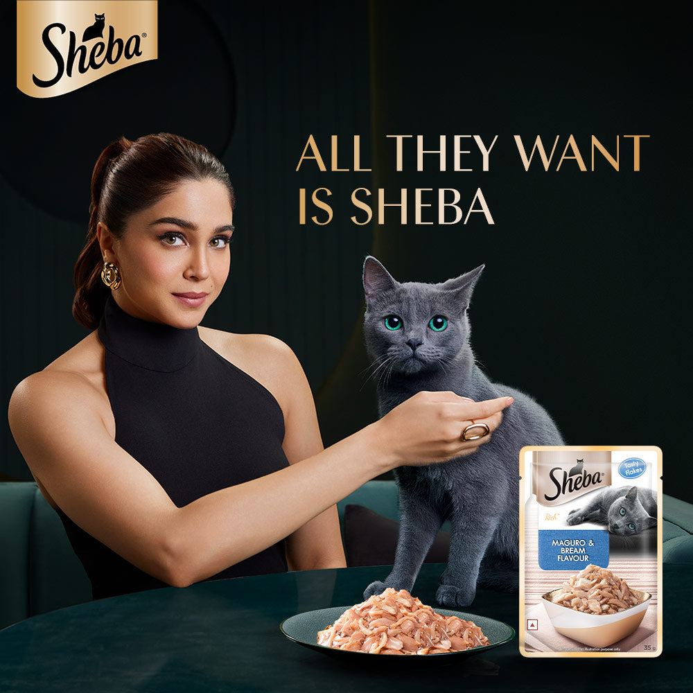 Sheba Maguro & Bream Wet Cat Food - 35 gm Packs - Heads Up For Tails