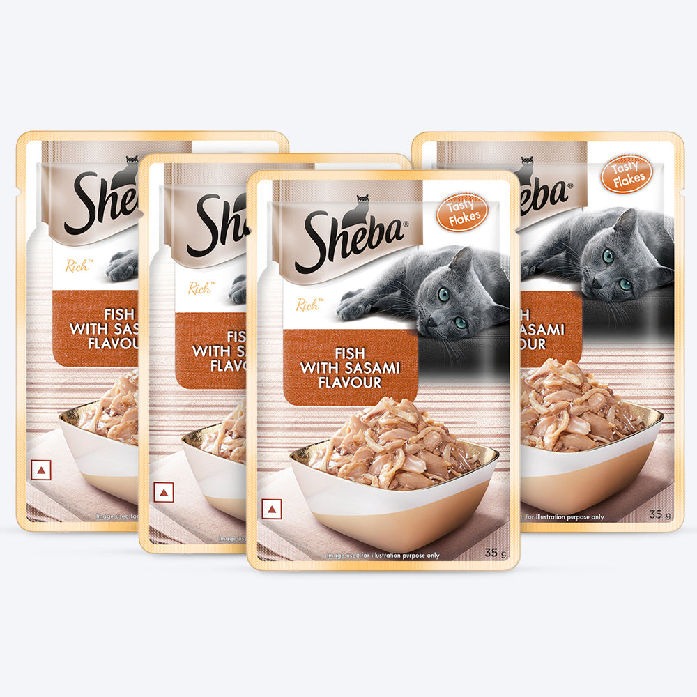 Sheba Fish with Sasami Adult Wet Cat Food - 35 gm Packs - Heads Up For Tails