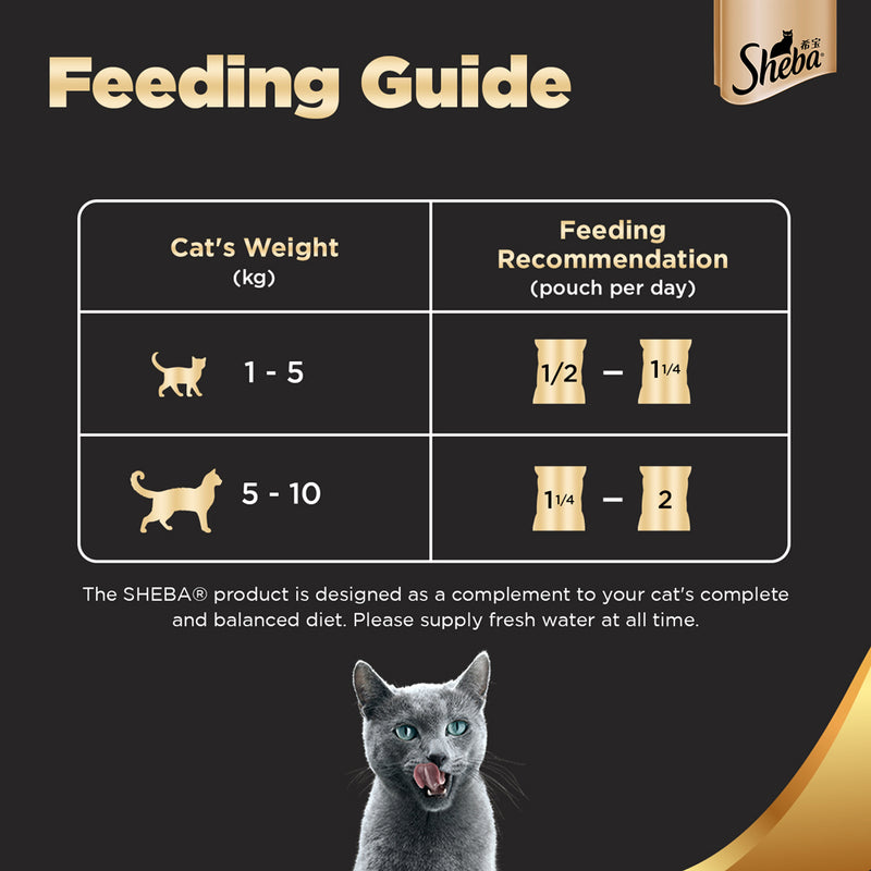 Sheba Premium Fish Sasami In Gravy Wet Cat Food - (12 x 35gm) - Heads Up For Tails
