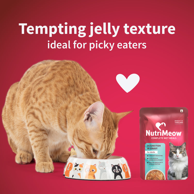 NutriMeow Oceanfish In Gravy Wet Food For Adult Cat - 80 gm - Heads Up For Tails
